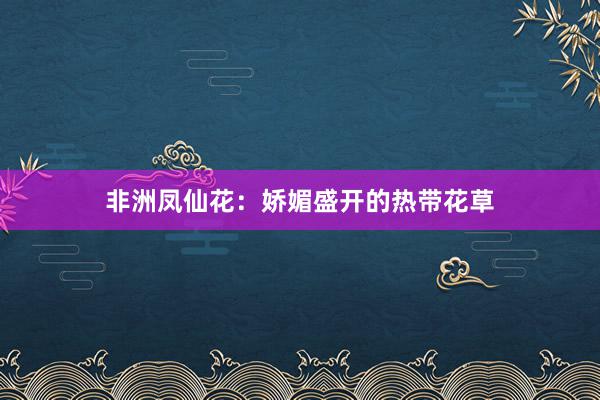 非洲凤仙花：娇媚盛开的热带花草