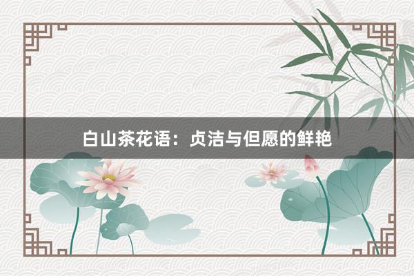 白山茶花语：贞洁与但愿的鲜艳